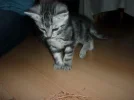 camera miriam 020.webp