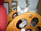 camera miriam 023.webp