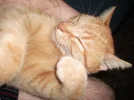 heute morgen.webp