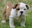 20101241856_erdwf.webp