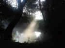 au1.webp