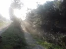 au3.webp