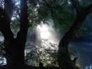au2.webp