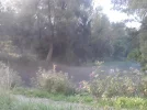 au4.webp
