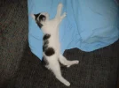 2011-08-28 03.14.48.webp