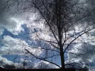DSC00302.webp