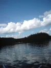 DSC00057.webp