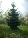 DSCN2358.webp