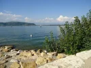 045.webp