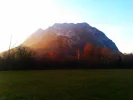 IMAG0191.webp