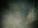 img20111124193842.webp