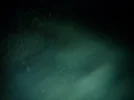 img20111124193857.webp