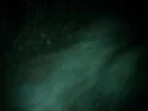 img20111124193907.webp