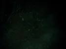img20111124193911.webp