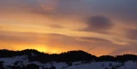 DSC04984.webp
