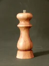 DSCN2280.webp