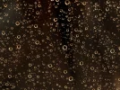 Regenprasseln.webp