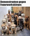 FB_IMG_1576269333051.webp