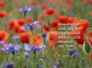 wunderbar-werke.webp