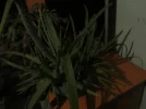 IMG_5067.webp