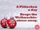 !1 Plätzchen.webp