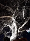 20191218_164643.webp