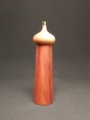 DSCN2287.webp