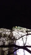 20191219_170946.webp