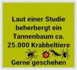 FB_IMG_1576781179941.webp