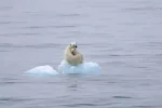 1123201921292.webp