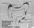 толст. кишечник / диета