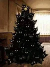FB_IMG_1577290569338.webp