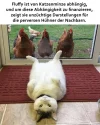 FB_IMG_1577358311302.webp