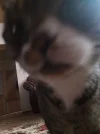 20191226_130641.webp