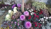 20191227_083725.webp