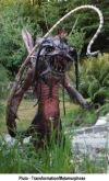 Pluto - Transformation_Metamorphose 0,9.webp