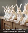 IMG-20191228-WA0006.webp