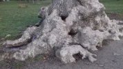 20191228_152039.webp
