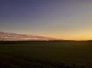69E371B4-9C74-4479-B6B5-56900D20D4F3.webp