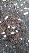 20191230_153142.webp