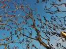 ESSIGTRAUM_20191229_153431.webp