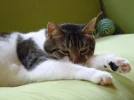 DSCN9810.webp