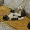Pez_tiefenentspannt_2.webp