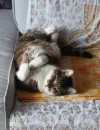 Pez_tiefenentspannt_1.webp