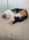 IMG-20190623-WA0013.webp