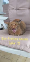 20191231_140302.webp