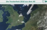 042020185154.webp
