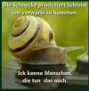 05202011512.webp