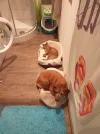 20190924_223148.webp
