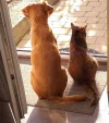 IMG-20200101-WA0003.webp
